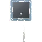 Jung A Range Trekschakelaar A506BFNUZANM Antraciet mat