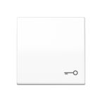 Jung AS Range Bedieningswip AS591TWW Alpinwit