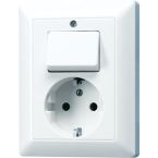 Jung AS Range Combinatie schakelaarwandcontactdoos AS5576EUWW Alpinwit