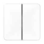 Jung CD Range Tasterset CD402TSAWW Alpinwit