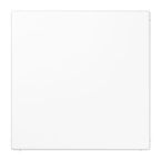 Jung LS Range Blindplaat LS994BWW Alpinwit