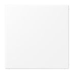 Jung LS Range Blindplaat LS994BWWM Sneeuwwit mat