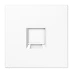 Jung LS Range Centraalplaat RJ45 LS19691WEWW Alpinwit