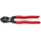 Knipex 7131 Boutenschaar 71 31 200