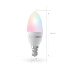 Ledvion Smart LED lamp LVW10003