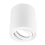 Ledvion Spot Opbouwspot LV100256500K