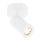 Ledvion Spot Opbouwspot LV10094