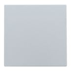 Niko Intense Blindplaat 12176901 Zilver