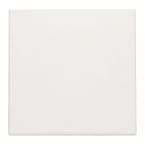 Niko Original Blindplaat 10176901 Alpinwit