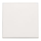 Niko Original Dimmertoets 10131002 Alpinwit