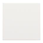 Niko Pure Blindplaat 15476901 Verkeerswit