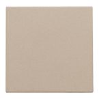 Niko Pure Blindplaat 15776901 Staal champagne