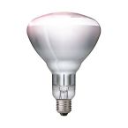 Philips Infrared Gloeilamp 57522725