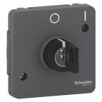 Schneider Electric Merten Mureva Styl Sleutelschakelaar MUR35062 Grijs