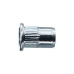 TIP BKM Blindklinkmoer BKMVZM8X17