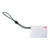 ABB Haf Terra AC-wallbox - RFID kaart 6AGC082175