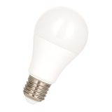 Bailey EcoBasic - LED lamp 80100040022
