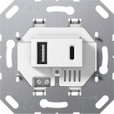 Gira Basiselement - USB wandcontactdoos 234900