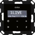 /g/i/gira-systeem-55-radio-4165714.jpg