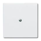 ABB BuschJaeger AllWeather IP44 Blindplaat 213834 Alpinwit