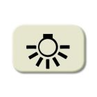 ABB BuschJaeger Basiselement Inzetstuk 2525 LI Crème