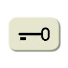 ABB BuschJaeger Basiselement Inzetstuk 2525 TR Crème