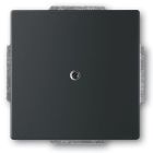 ABB BuschJaeger Future Linear Blindplaat 1742885 Zwart mat