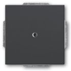 ABB BuschJaeger Future Linear Blindplaat 174281 Antraciet