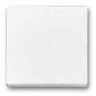 ABB BuschJaeger FutureSolo Bedieningswip 178684 Verkeerswit glanzend