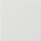 Gira Systeem 3000 Bedieningstoets 536027 Alpinwit mat