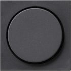 Gira Systeem 55 Dimmerknop 065028 Antraciet