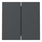 Gira Systeem 55 Bedieningswip 329528 Antraciet