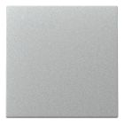 Gira Systeem 55 Bedieningswip 329626 Aluminium