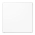 Jung LS Range Blindplaat LS994BWW Alpinwit