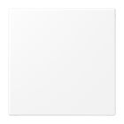 Jung LS Range Blindplaat LS994BWWM Sneeuwwit mat