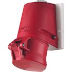 Mennekes TwinCONTACT CEE wandcontactdoos 31