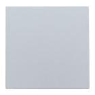 Niko Intense Blindplaat 12176901 Zilver