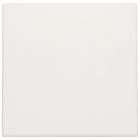 Niko Original Blindplaat 10176001 Alpinwit