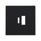 Niko Pure Centraalplaat USB 16168002 Zwart