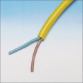 DYNAMIC PUR 2X0.75 R100 POLYURETHAAN HV 2X0.75 GE R100
