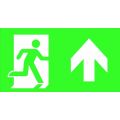 Eaton Blessing Atlantic LED Pictogram inlegvelplaat 155001003
