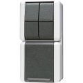 Jung WG800 Combinatie schakelaarwandcontactdoos 875W