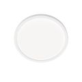 Ledvion Round Plafondlamp LV10075