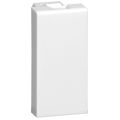 Legrand Mosaic Blindplaat 077070 1 module